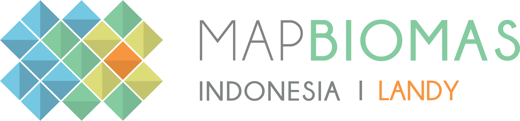 Mapbiomas Indonesia